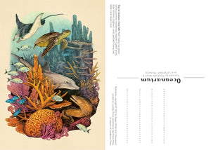 Oceanarium Postcard Box Set [Loveday Trinick & Teagan White]