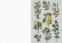 Load image into Gallery viewer, The Collage Compendium: 2,000 Images To Cut Out &amp; Collage [Roomytown]
