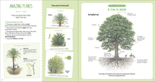 Load image into Gallery viewer, The Book Of Amazing Trees [Nathalie Tordjman, Julien Norwood, et al.]
