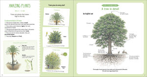 The Book Of Amazing Trees [Nathalie Tordjman, Julien Norwood, et al.]