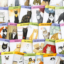 Load image into Gallery viewer, Cat Gurus: Guidance From The World's Greatest Felines [Liz Faber, Caroline Roberts &amp; Mister Peebles]
