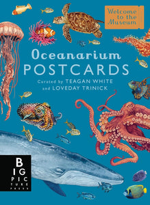 Oceanarium Postcard Box Set [Loveday Trinick & Teagan White]
