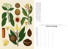 Load image into Gallery viewer, Arboretum Postcard Box Set [Tony Kirkham &amp; Katie Scott]
