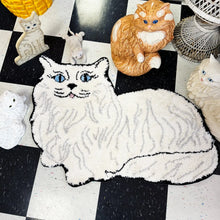 Load image into Gallery viewer, Small Persian Cat Rug
