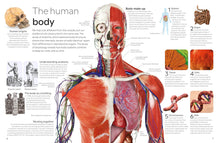 Load image into Gallery viewer, Eyewitness Human Body [DK]
