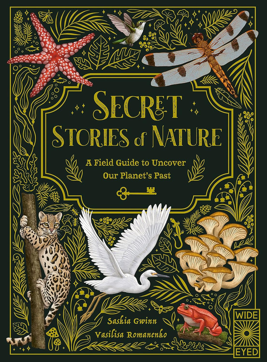 Secret Stories of Nature: A Field Guide to Uncover Our Planet's Past [Saskia Gwinn]