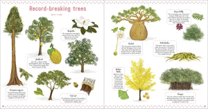 The Book Of Amazing Trees [Nathalie Tordjman, Julien Norwood, et al.]