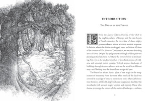 The Sherwood Oracle: Hidden Lore Of The Wild Forest [John Matthews, Mark Ryan & Anne Yvonne Gilbert]