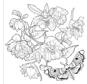 Goth Garden Artist's Coloring Book [Peter Pauper Press]