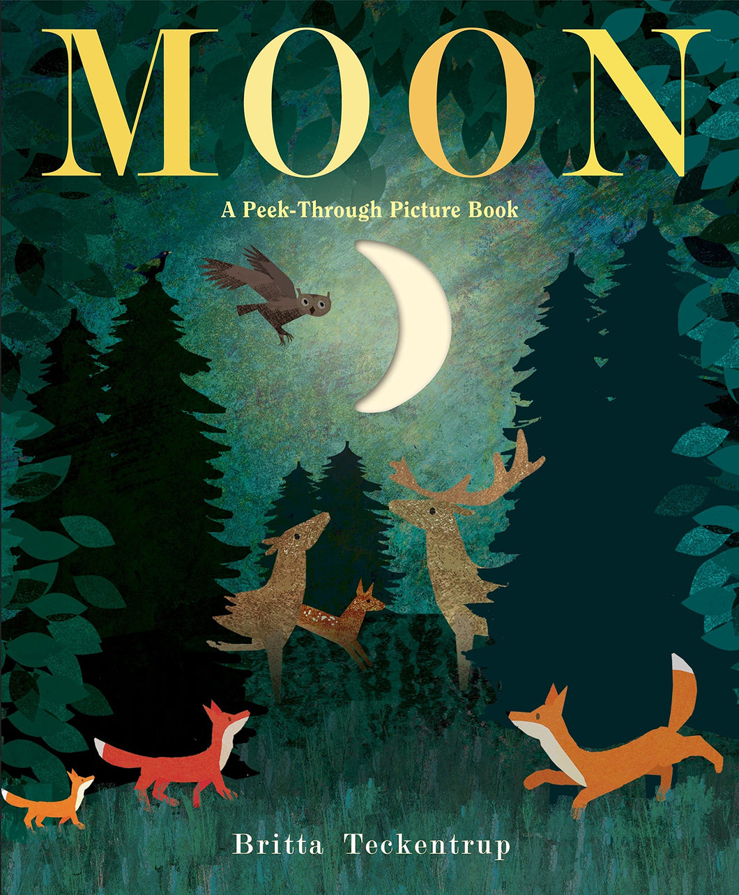 Moon: A Peek-Through Picture Book [Britta Teckentrup]