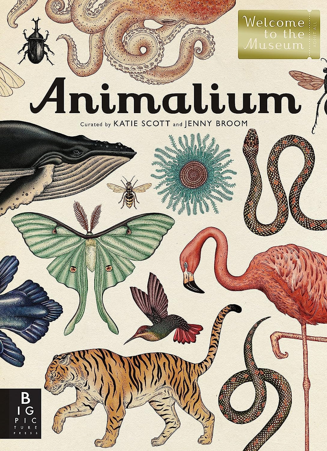 Animalium: Welcome To The Museum [Jenny Broom & Katie Scott]