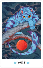 Load image into Gallery viewer, Affirmations Of The Fairy Cats Deck And Book Set [Brenda June Saydak]
