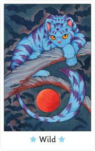 Affirmations Of The Fairy Cats Deck And Book Set [Brenda June Saydak]