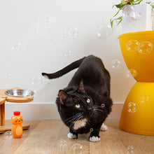 Load image into Gallery viewer, Kiko Catnip Bubbles
