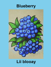 Load image into Gallery viewer, Let&#39;s Learn Michif! Flashcards
