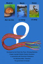 Load image into Gallery viewer, Let&#39;s Learn Michif! Flashcards
