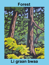 Load image into Gallery viewer, Let&#39;s Learn Michif! Flashcards
