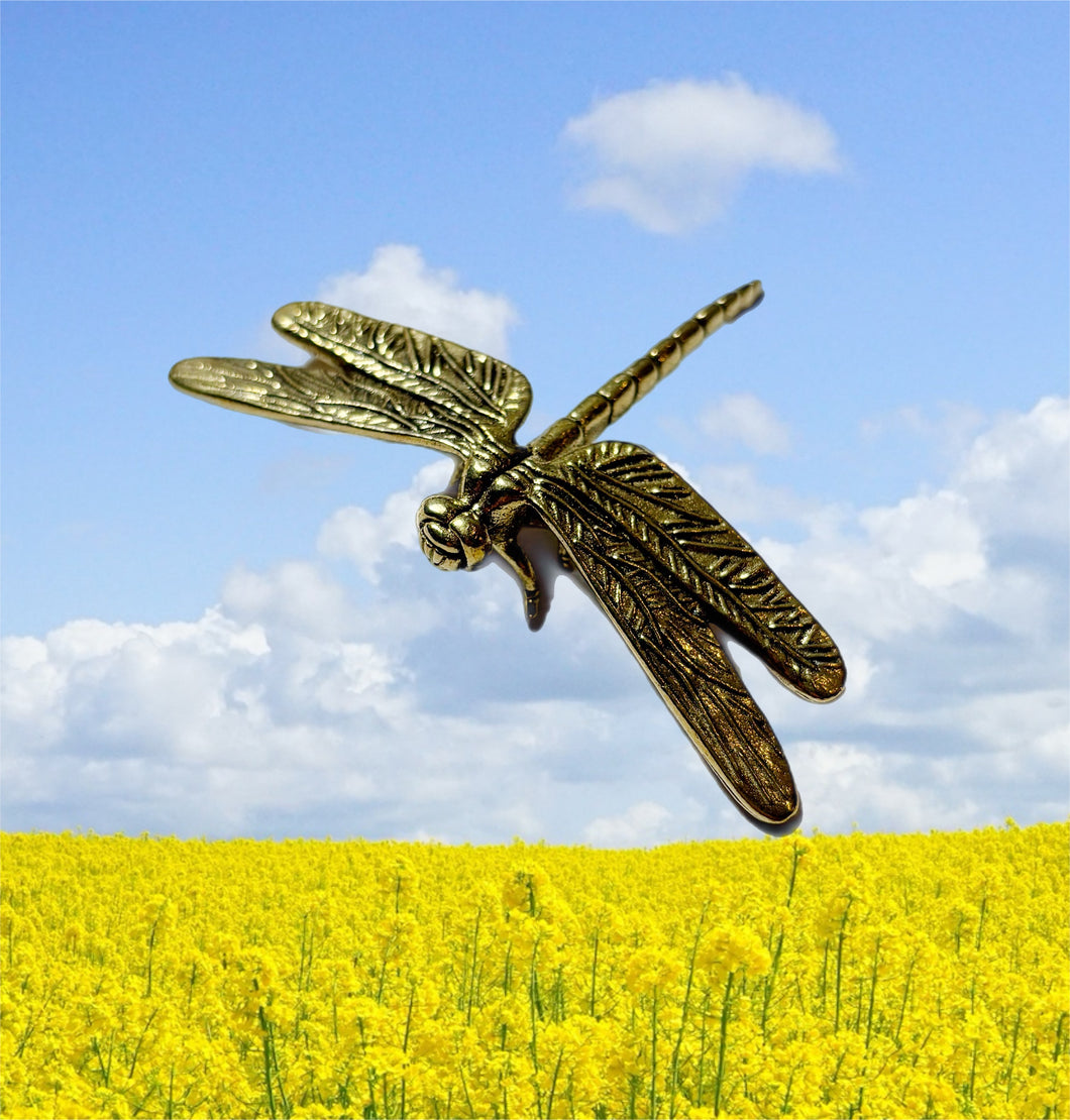 Small Brass Dragonfly Figure