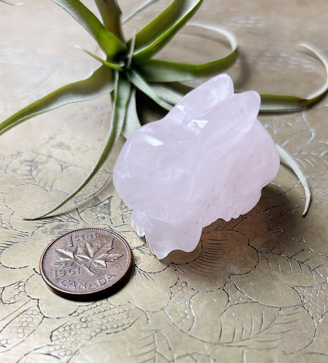 Rose Quartz Rabbit