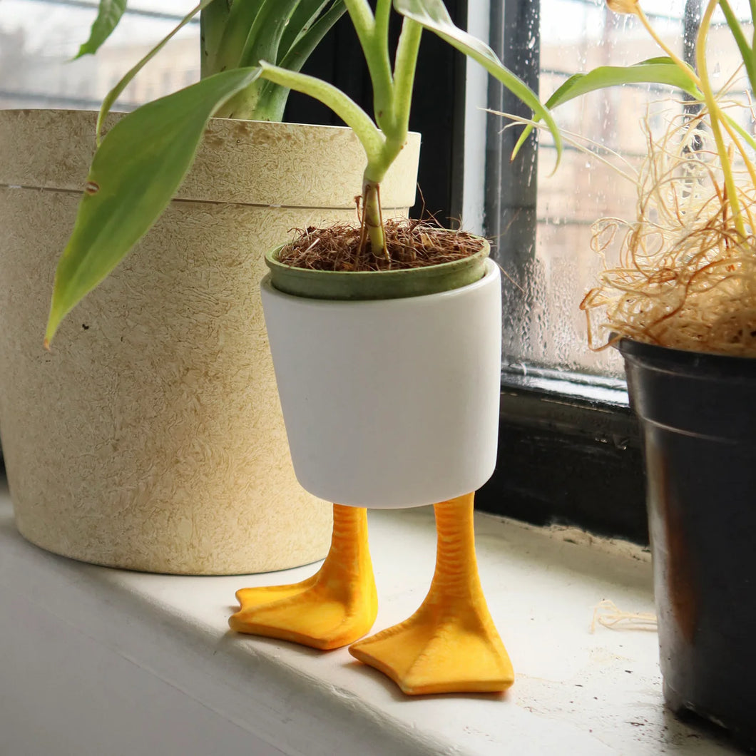 Duck Feet Planter