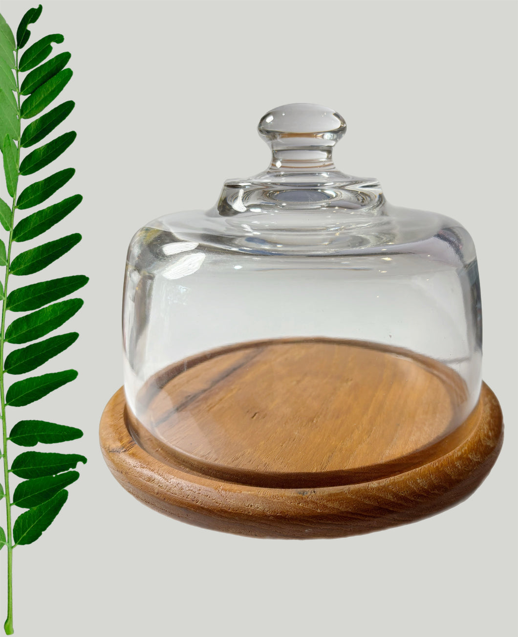 Vintage Teak & Glass Cloche/Cheese Dome
