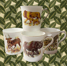 Load image into Gallery viewer, Vintage Rosina Fine Bone China Mug Set (Safari Pattern) [Set of Four]
