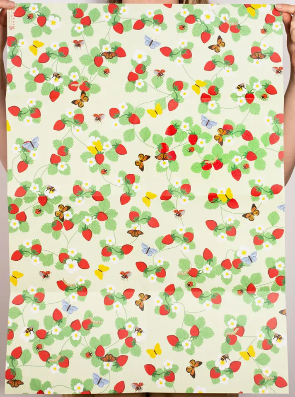 Bugs & Berries Wrap (Single Sheet)
