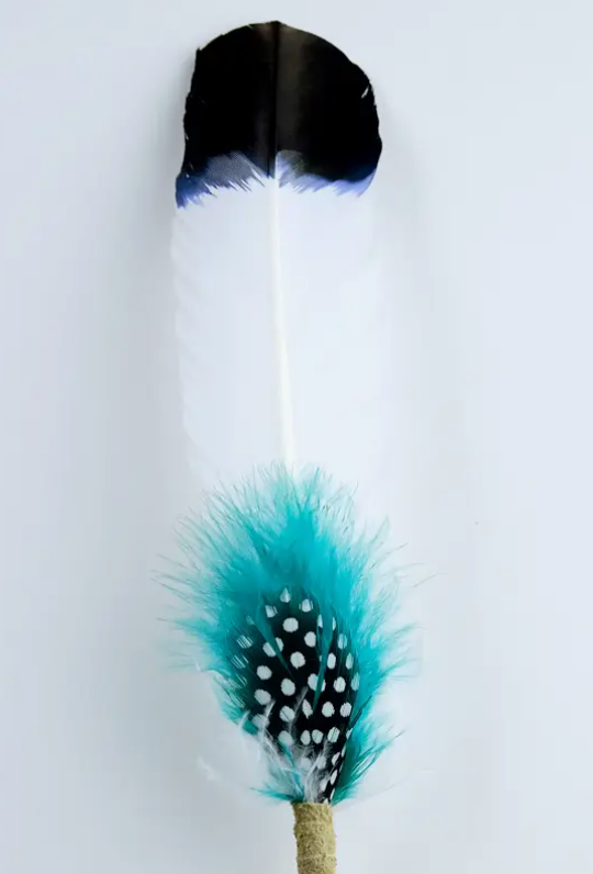Smudging Feather - Wisdom (Teal)