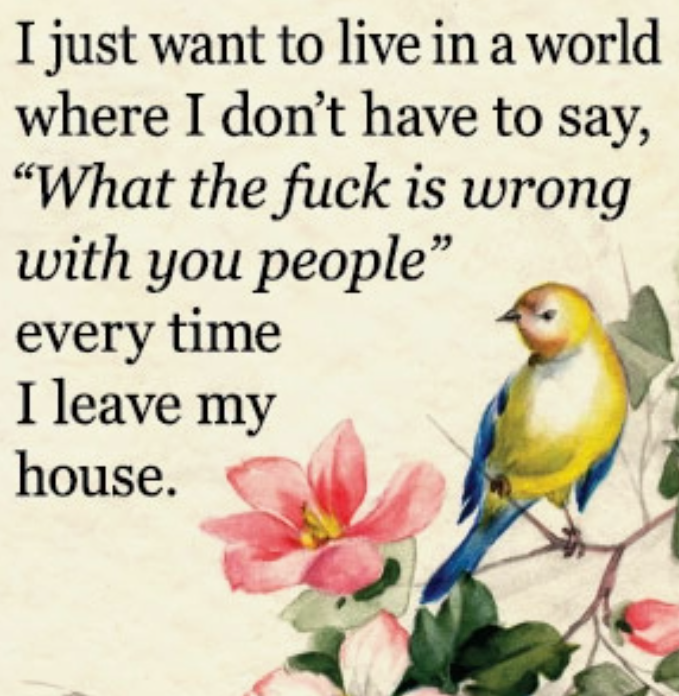 What The Fuck Is Wrong With You Magnet