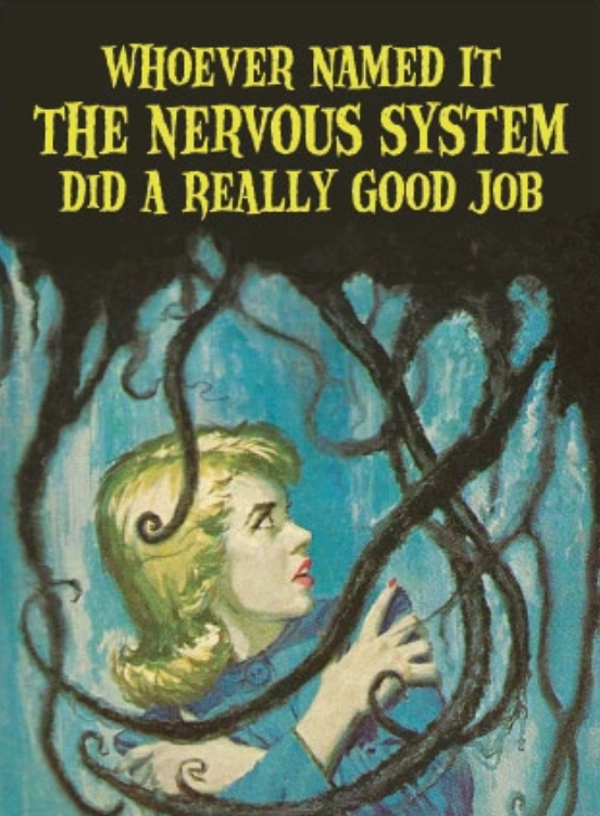 Nervous System Magnet