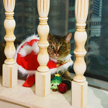 Load image into Gallery viewer, Christmas Tree Cat Toys
