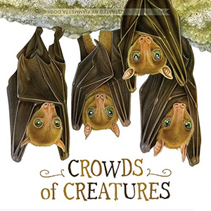 Crowds of Creatures Board Book [Kate Riggs]