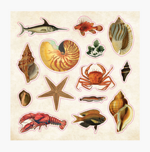 Load image into Gallery viewer, The Sticker Book Of Curiosities [Peter Pauper Press]
