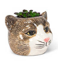 Load image into Gallery viewer, Tiny Tabby Cat Planter
