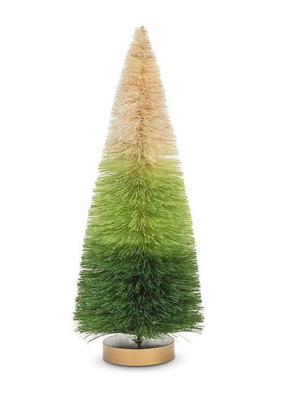 Ombre Bottlebrush Tree (12