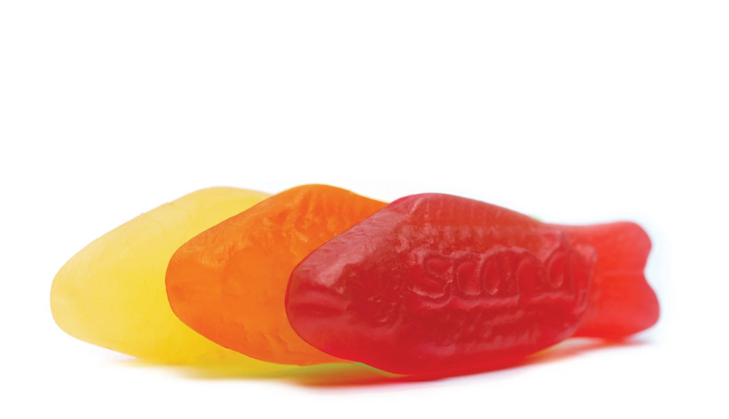 Scandy Fish Swedish Candy (4 oz cube)