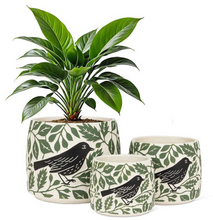Load image into Gallery viewer, Crow and Leaves Planter
