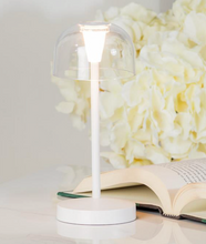 Load image into Gallery viewer, LED Bubble Shade Light
