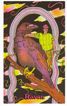 Load image into Gallery viewer, Queer Animal Oracle An Inclusive Deck &amp; Guidebook [Ashley Molesso &amp; Chess Needham]
