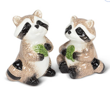 Load image into Gallery viewer, Raccoon Salt &amp; Pepper Shakers
