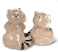 Load image into Gallery viewer, Raccoon Salt &amp; Pepper Shakers
