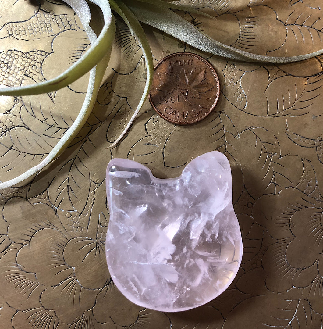 Rose Quartz Cat Face