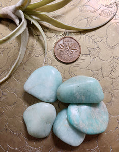 Amazonite Tumbled Gemstone