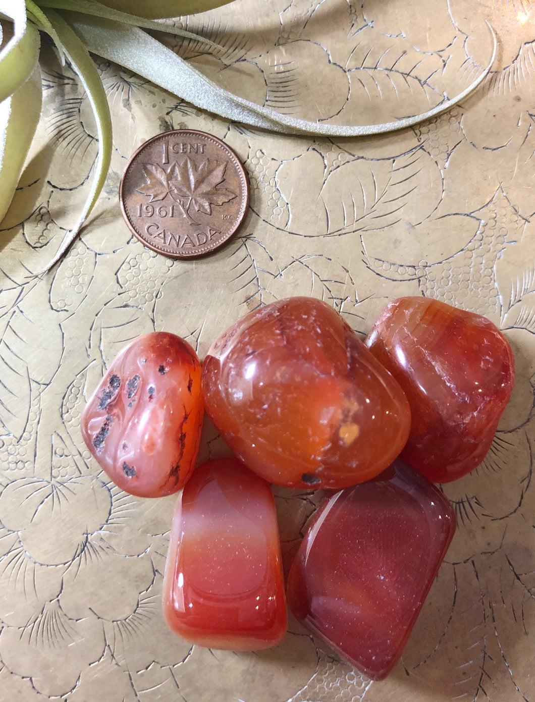 Carnelian Tumbled Gemstone