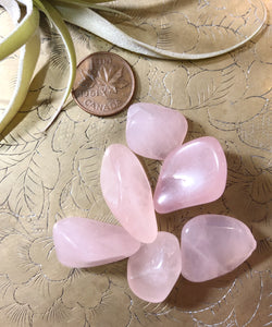 Rose Quartz Tumbled Gemstone