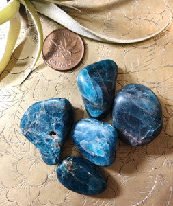 Apatite Tumbled Gemstone