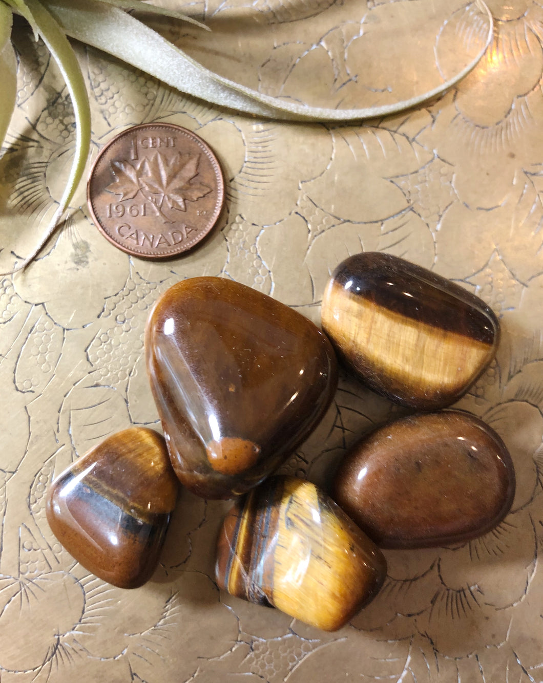 Tiger's Eye Tumbled Gemstone