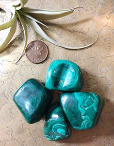 Malachite Tumbled Gemstone XL