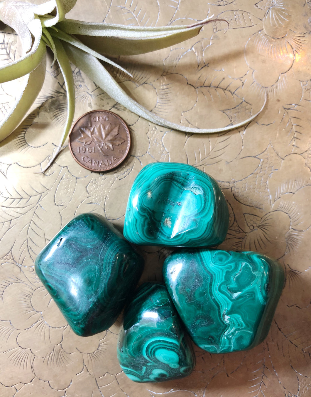 Malachite Tumbled Gemstone XL