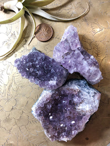 Amethyst Cluster